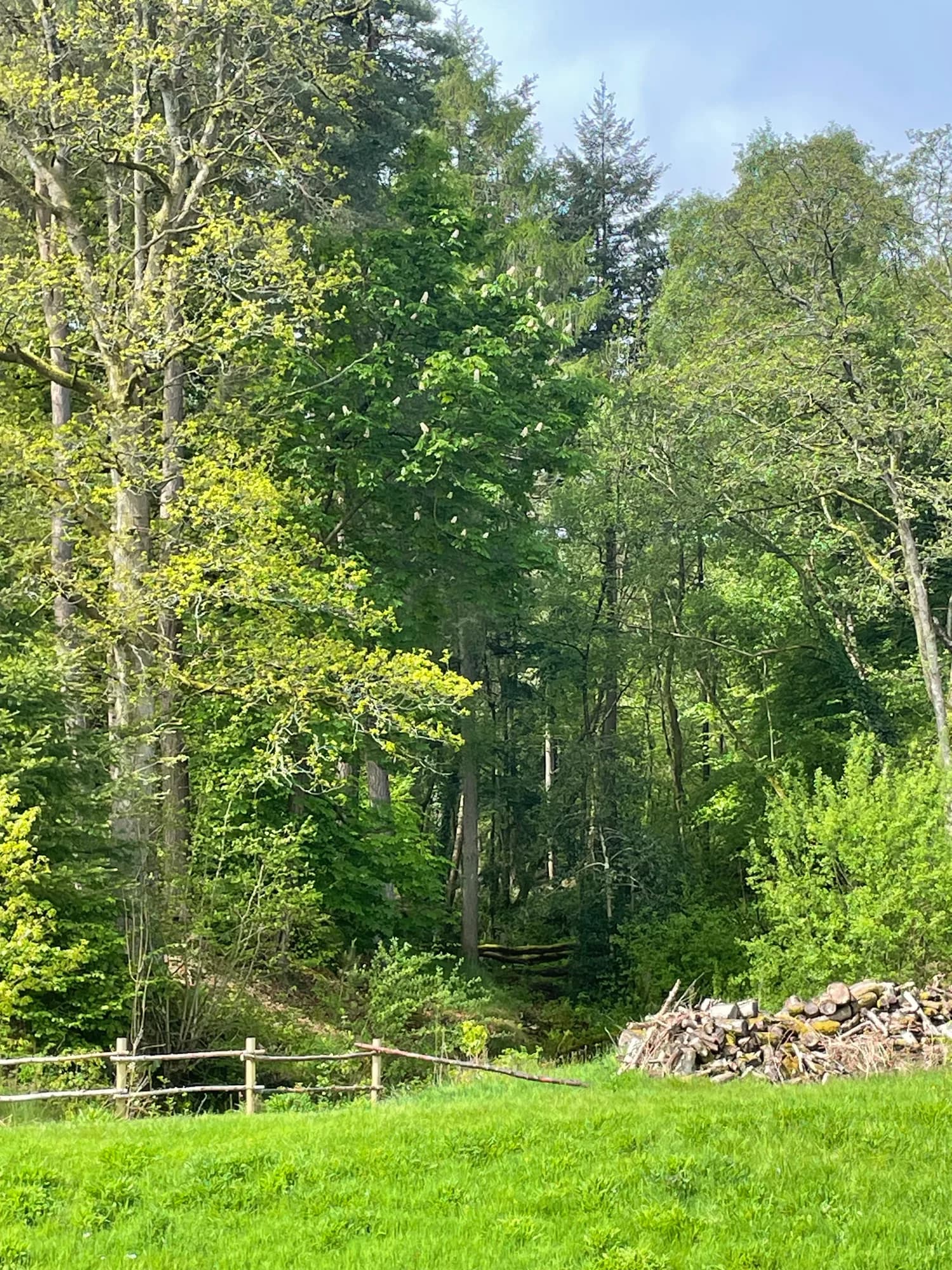 The retreat setting at Garth Barns in the Powys hills